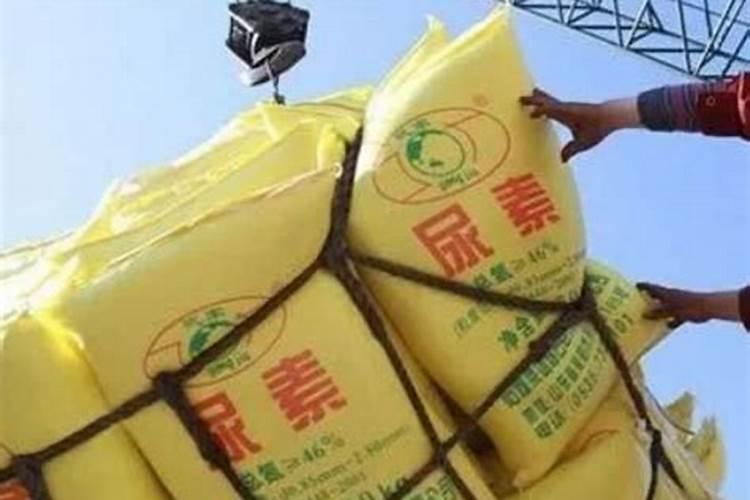 梨树腐烂病的防治方法有哪些？