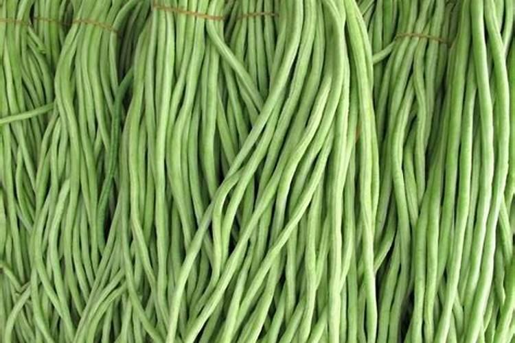 豆角追肥最忌三种肥料