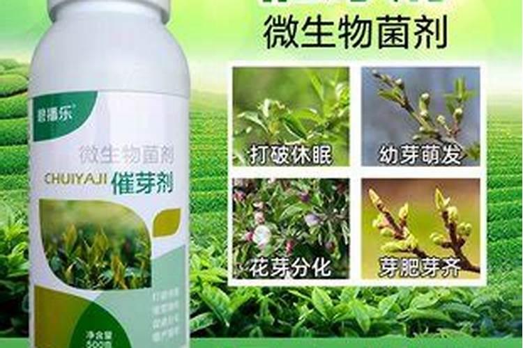 种花生用什么样的复合肥