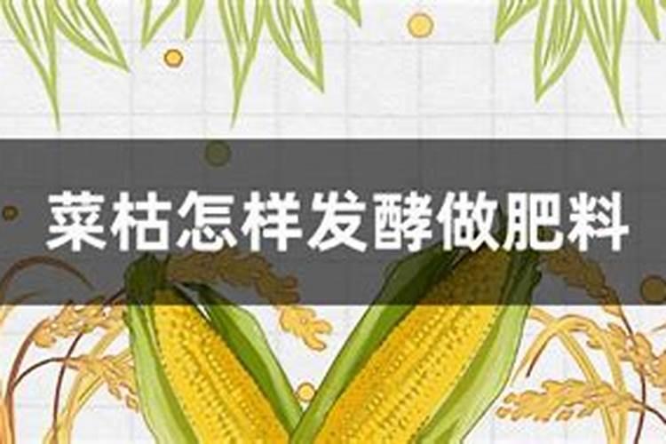 种植蔬菜的过程中,常用的肥料都有哪些？