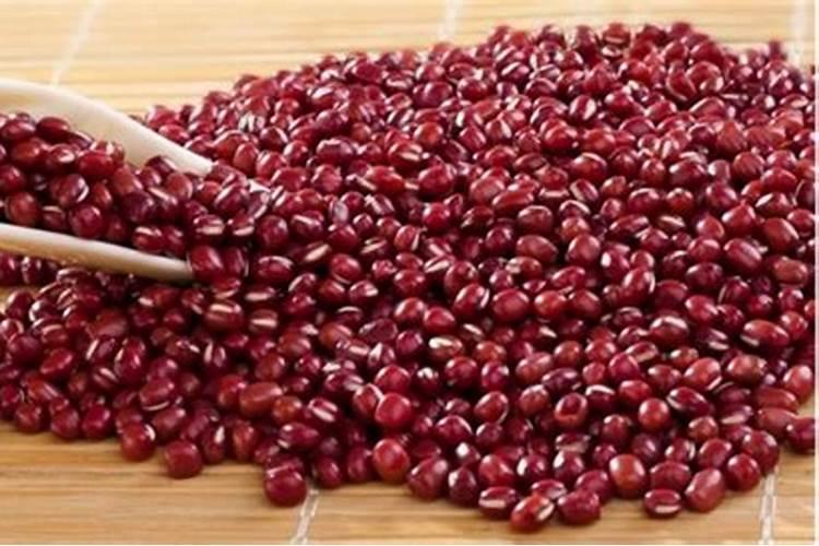 赤小豆种植时间和方法