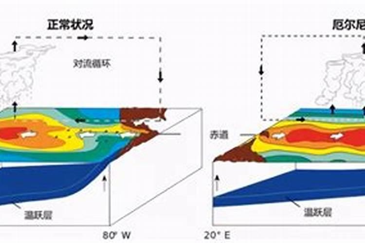 芸苔素使用技巧