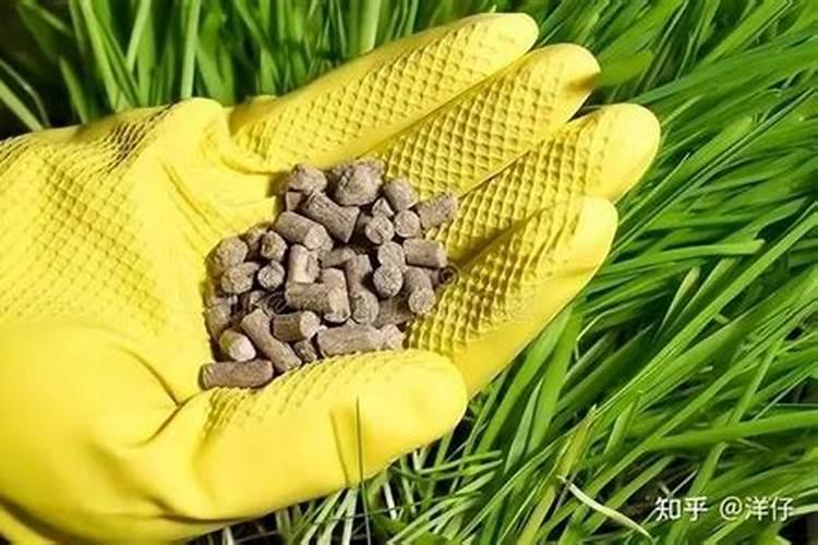 化肥行业龙头概念股有哪些？