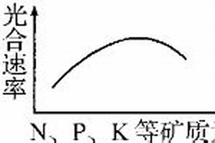 磷肥对植物光合作用的影响