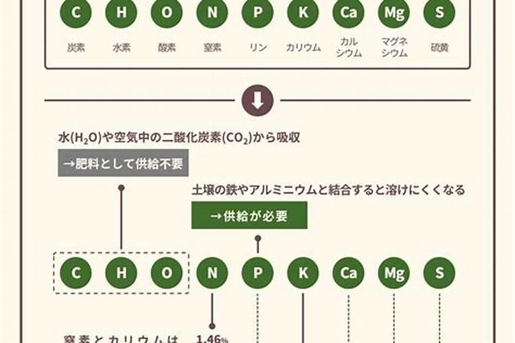 氮离子、磷离子、钾离子肥料“三要素”