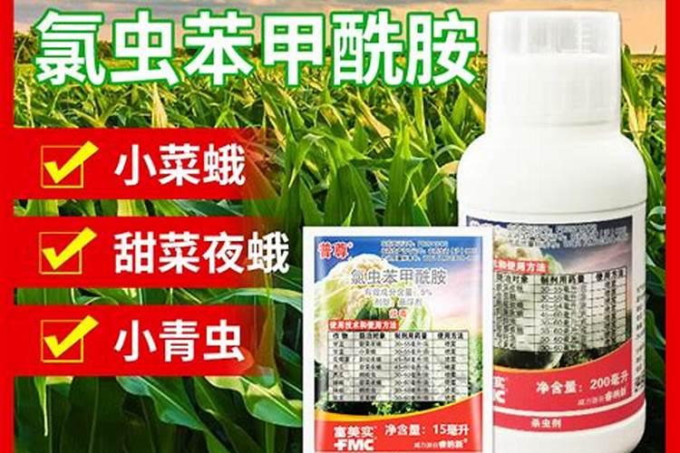 杜鹃花硫酸亚铁合101活力素一起混在一起用可以吗？