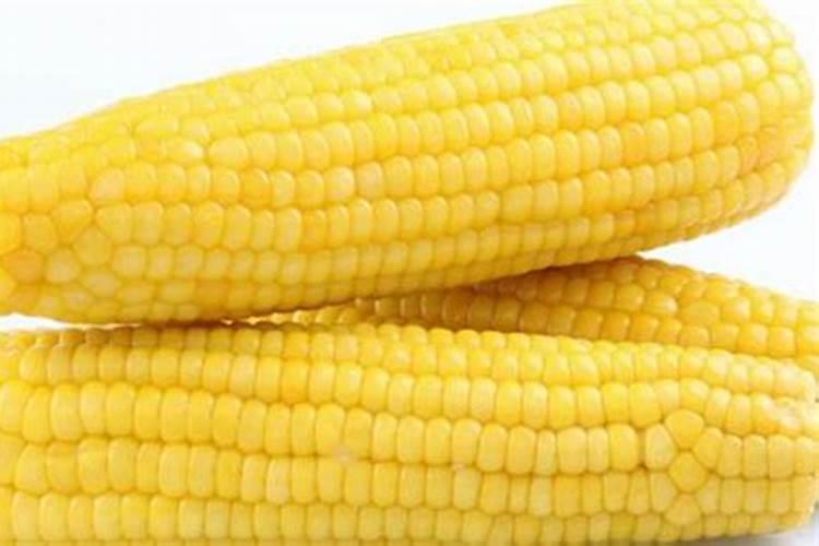 玉米用什么含量的肥料