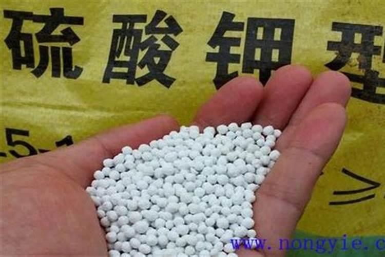 辨别水溶肥真假,这八招绝对好用!