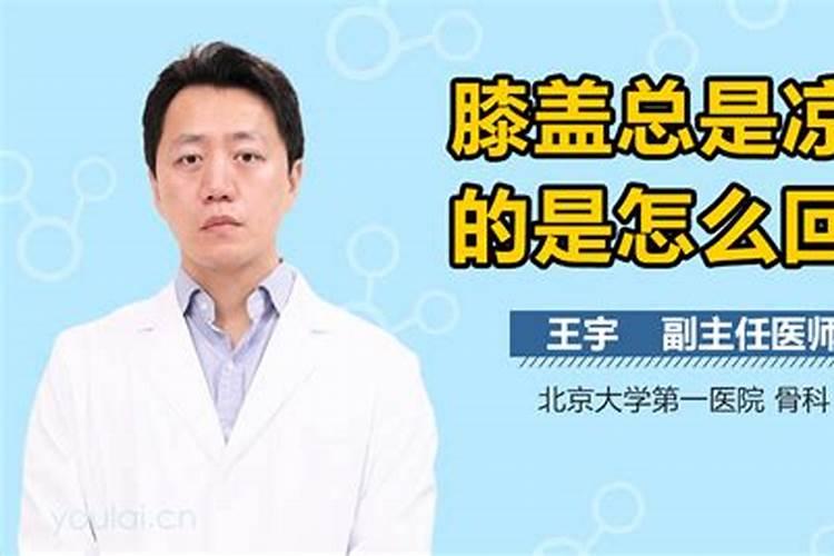 冬天,滴水观音可以放在室内吗？需要注意些什么？