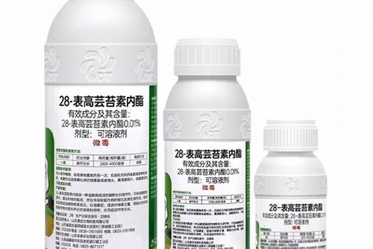 什么肥料对兰花发芽生根开花最好