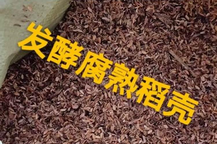 稻壳灰可以做肥料吗