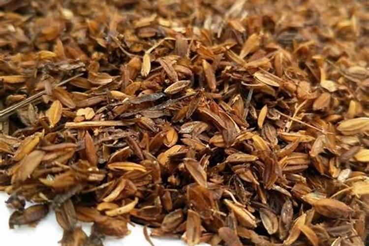 有机肥属于化肥吗