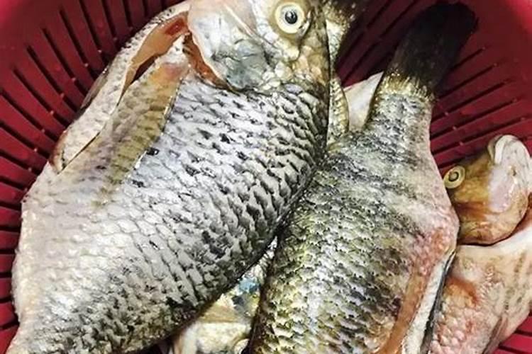 农家肥中有那些元素