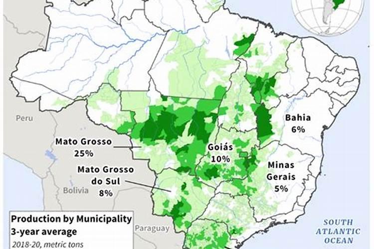 收割后的黄豆土地适合种植什么合适？有推荐的吗？