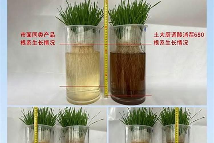 土壤酸化盐渍化原因详解!