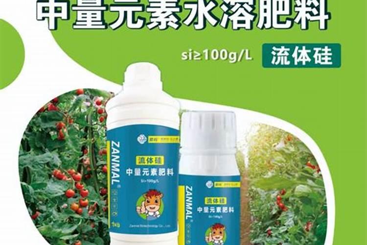 俺家玉米,叶子老出问题,先是叶尖叶缘变浅黄,后来还发紫,叶脉倒是绿的...