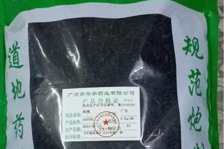 盆栽龙眼种植盆栽方法有哪些