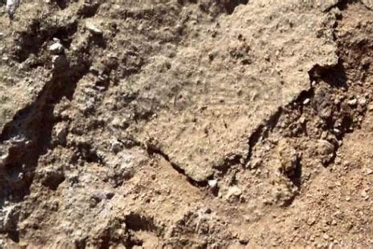 钾肥在土壤中流失吗