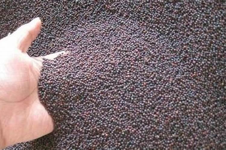 磷肥是什么肥料 磷肥简单介绍