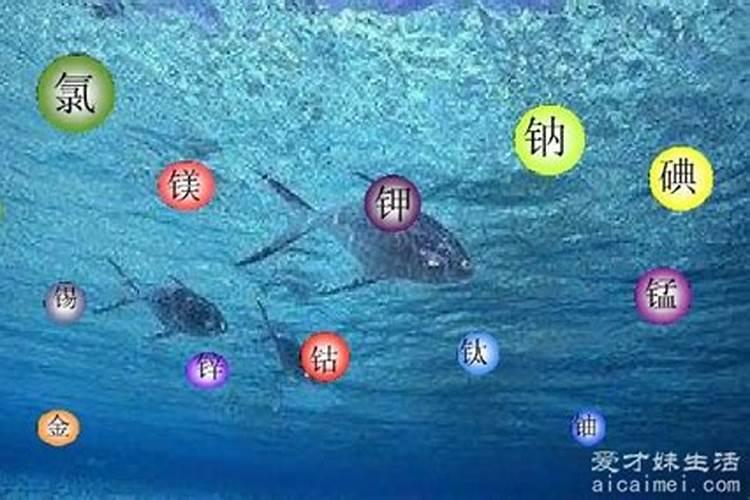 为什么深层海水的营养十分丰富