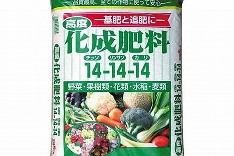 风雨兰为什么下雨就开花