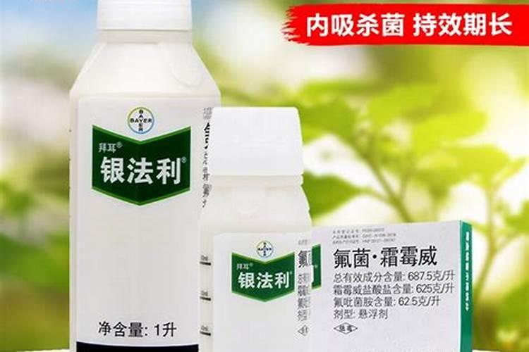 什么算是银离子过敏者禁用