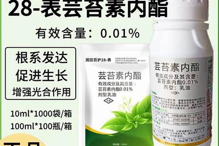 芸苔素内酯开花期能打吗