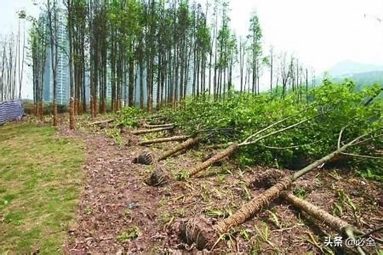 磷酸二氢钾可以和复合肥混合使用吗