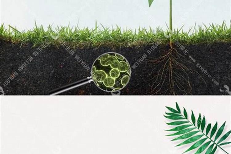 自己生产生物有机肥,想多知道一些配方,谁知道？告诉一下