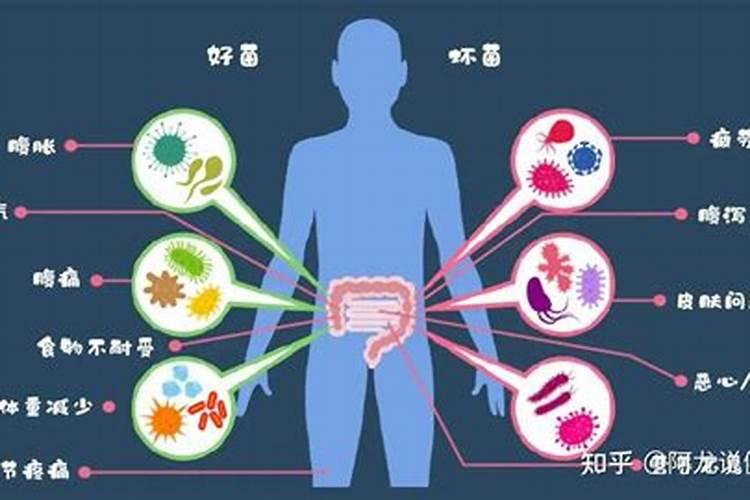 微生物菌种生物有机肥的制作方法