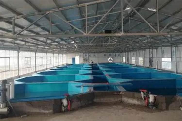 鱼塘里可以撒化肥喂鱼吗？撒什么化肥？计量是多少？？