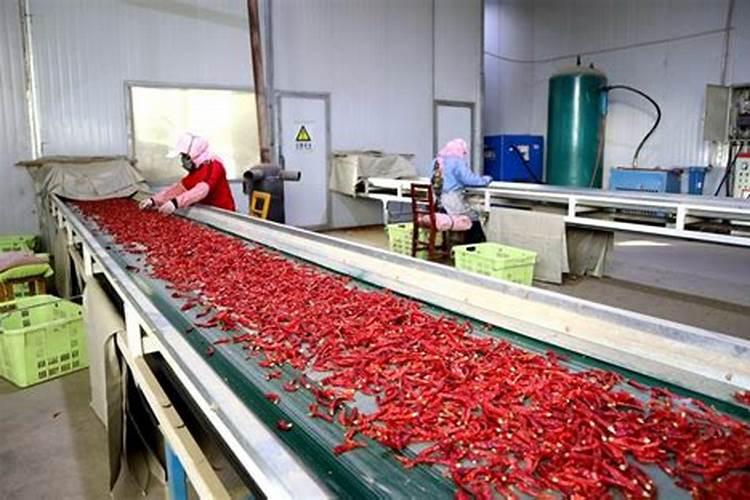 辣椒用什么叶面肥效果好？辣椒喷什么叶面肥结果多？