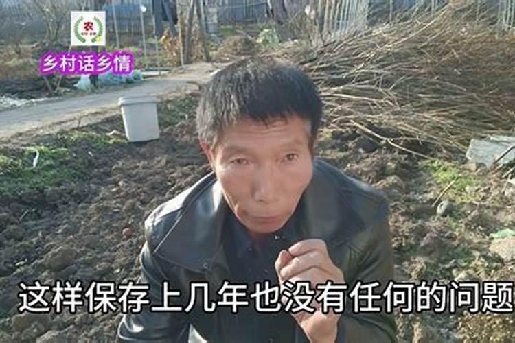 果树用冲施肥的效果如何？火龙果上什么肥料长得好？