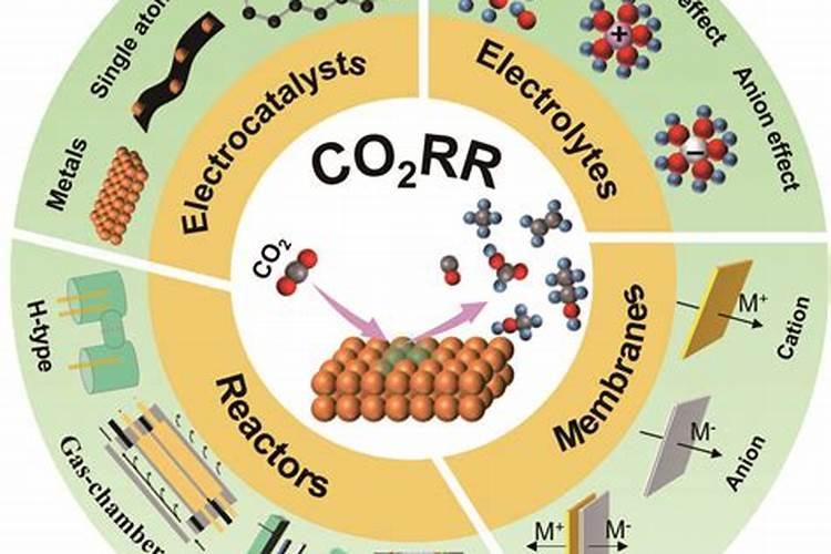 有机肥是有机物吗 有机肥是酸性还是碱性