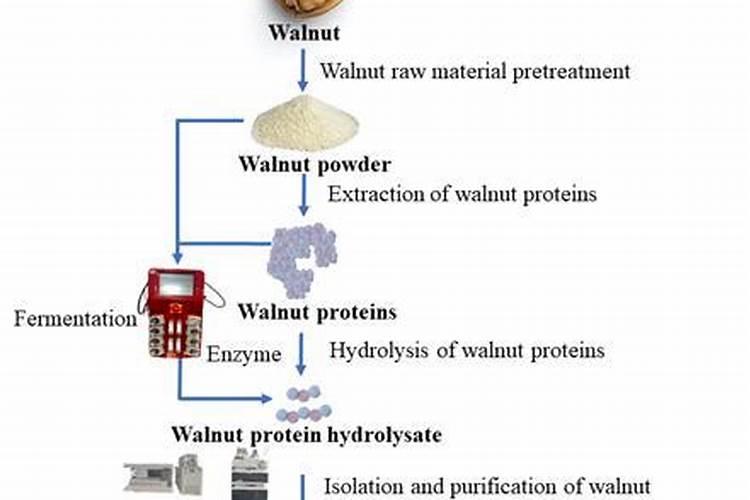 核桃皮可以做花的肥料吗