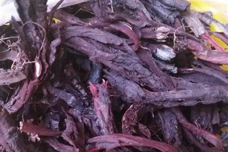 紫草油的功效与作用有哪些