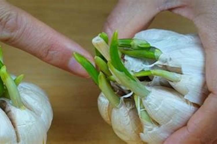 常见的氮肥、磷肥、钾肥、复合肥有哪些……