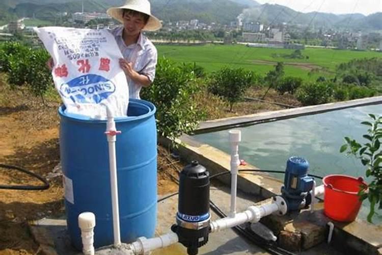 水溶肥果树灌根正确方法