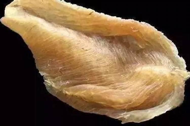 养龟的缸里出现成团的小细虫,那个虫子该怎么解决？