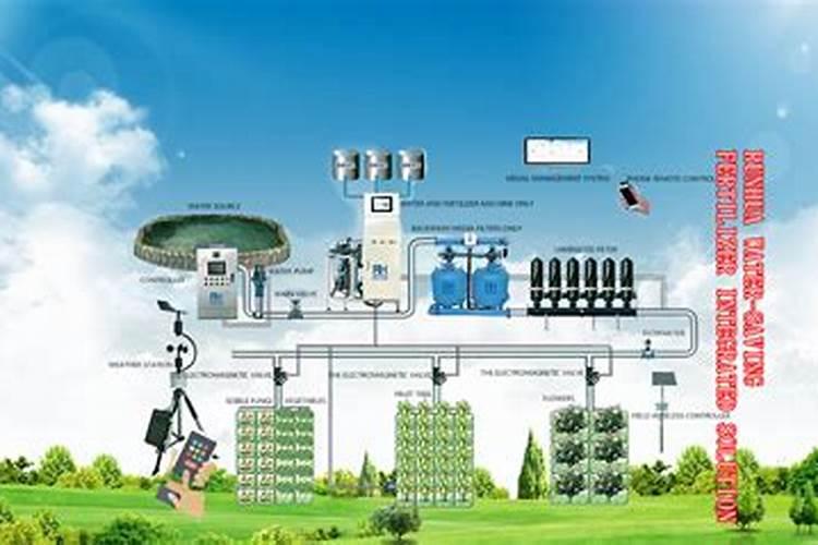 生姜专用肥料怎么选？