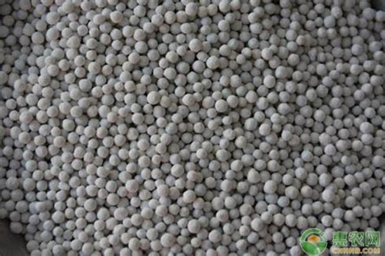 种小麦用含氯高的肥料好吗