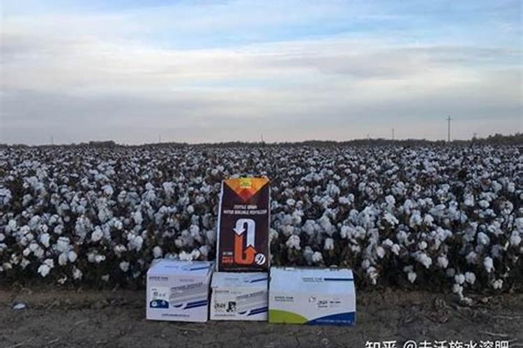 养花一般要施什么肥料好,养花施什么肥最好