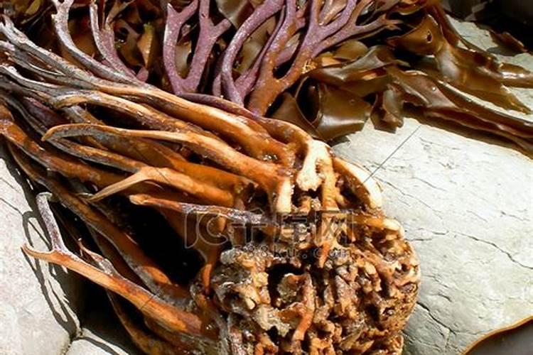 种植黄瓜想要增加产量和提高品质,该如何使用肥料？