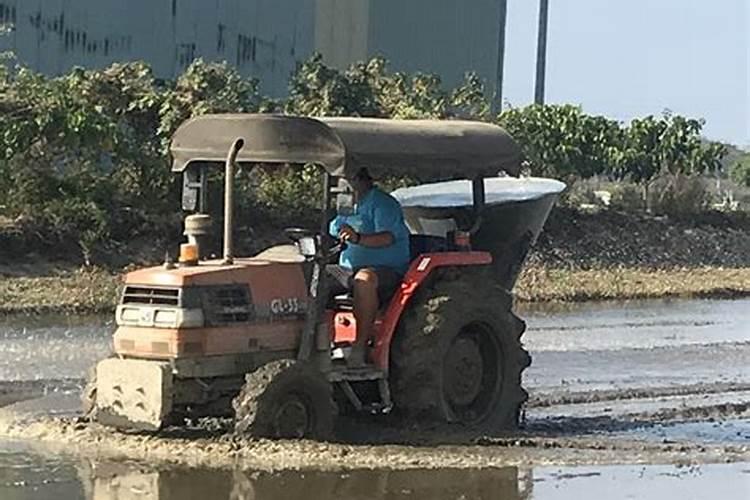 水溶肥直接撒在土表面行吗,会不会造成肥料浪费或烧苗？
