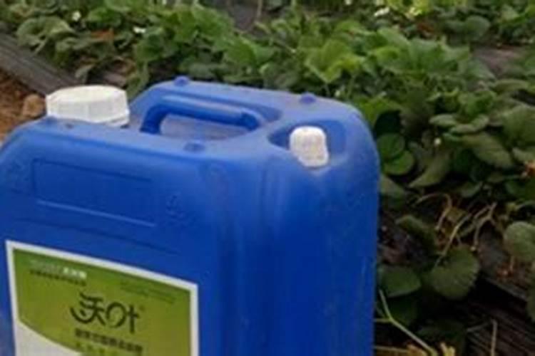 202020水溶肥灌根甘蔗用量是多少