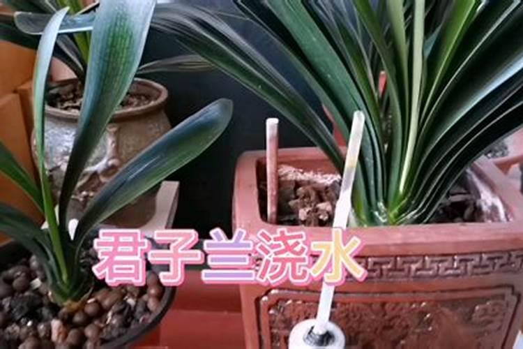 氮磷钾复合肥是什么肥料