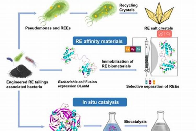 农用稀土稀土在农业中的奇效