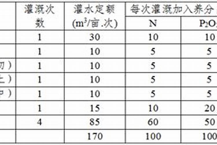 8月份初苹果怎么施肥