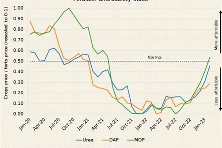 钾肥认沽权证遭遇恶炒的过程