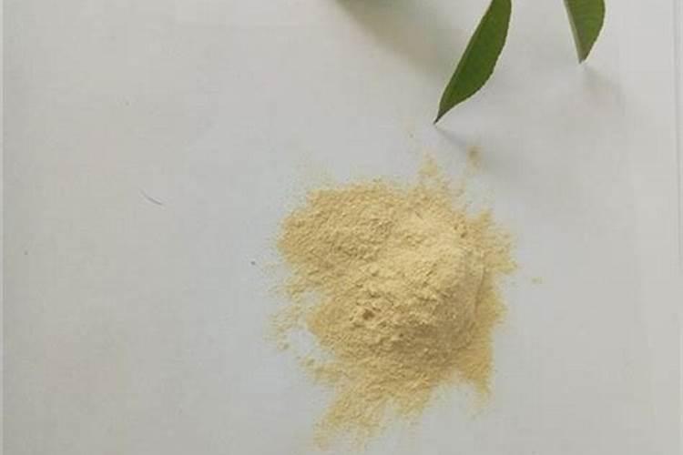 君子兰用深海鱼蛋白浇花可以吗